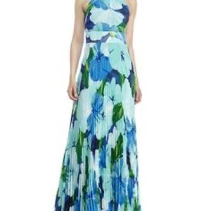 Floral Blue and Green Maxi Dress Eliza J
